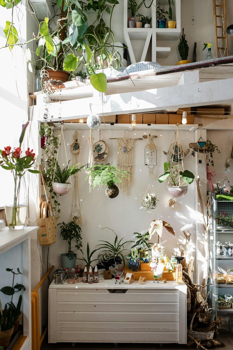 room full of plants and greenery with a boho vibe