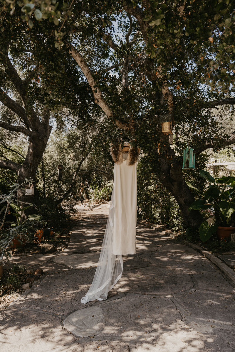 Bride's modern and classy  wedding dress hanging on a tree outside.