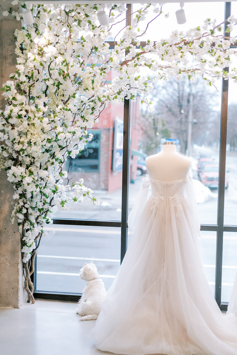 Tie The Knot Bridal Boutique | Northeast Wisconsin