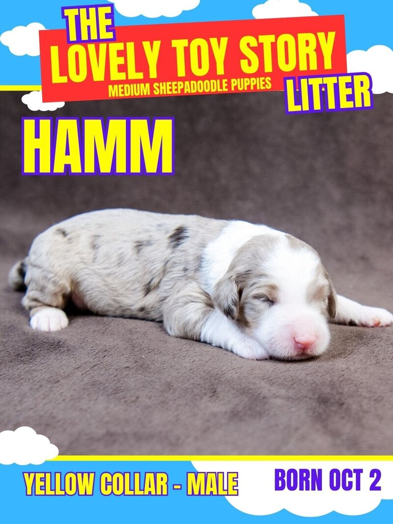 Toy Story -Yellow Hamm Male