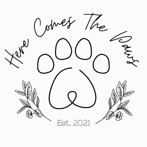 Copy of Here comes the paws, llc 4