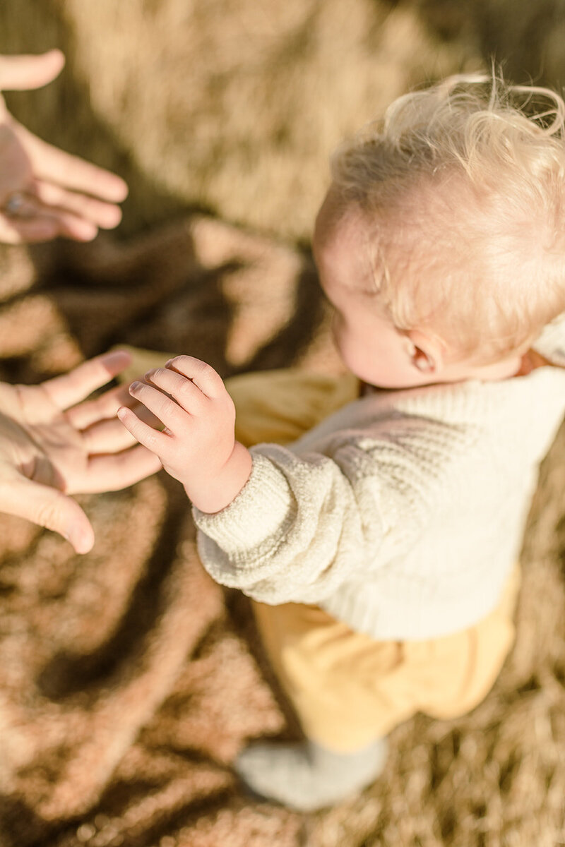 A faceless mother holds her toddlers hand, representing the family photography portraits session offering. 