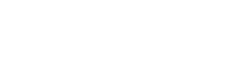 Freedom Reins Equestrian logo