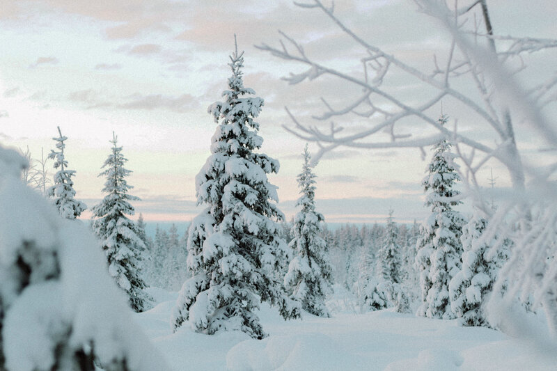 sixtyeightnorth imagery-53