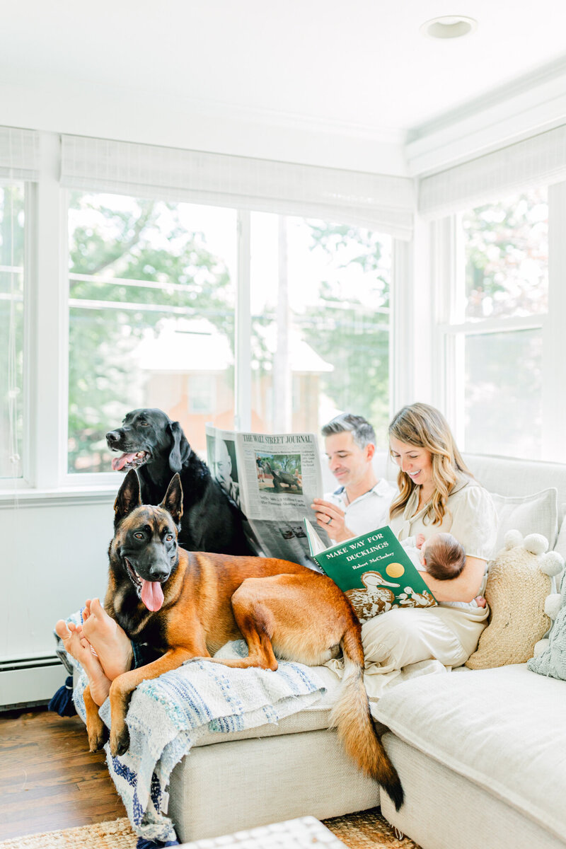 Mom reads Boston children's book to newborn while Dad sits next to her and reads the Wall Street Journal and two large dogs rest at their feet