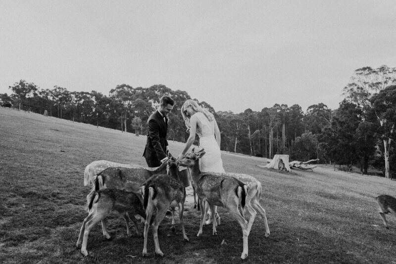 BRAD&REBECCA-315