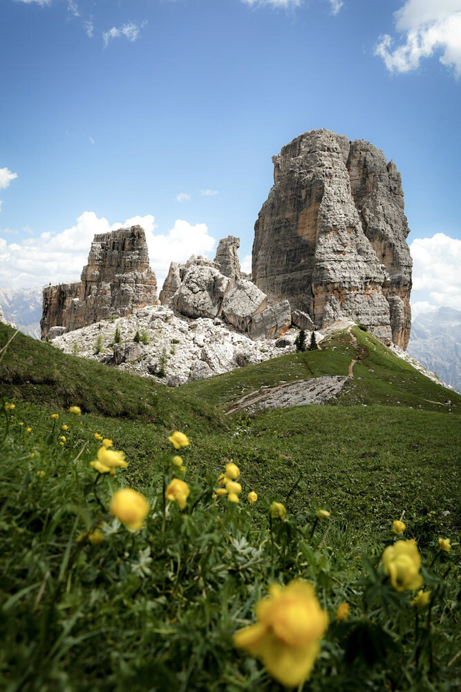 The Cinque Torri mountain towers stand tall with green grass and yellow flowers in the foreground