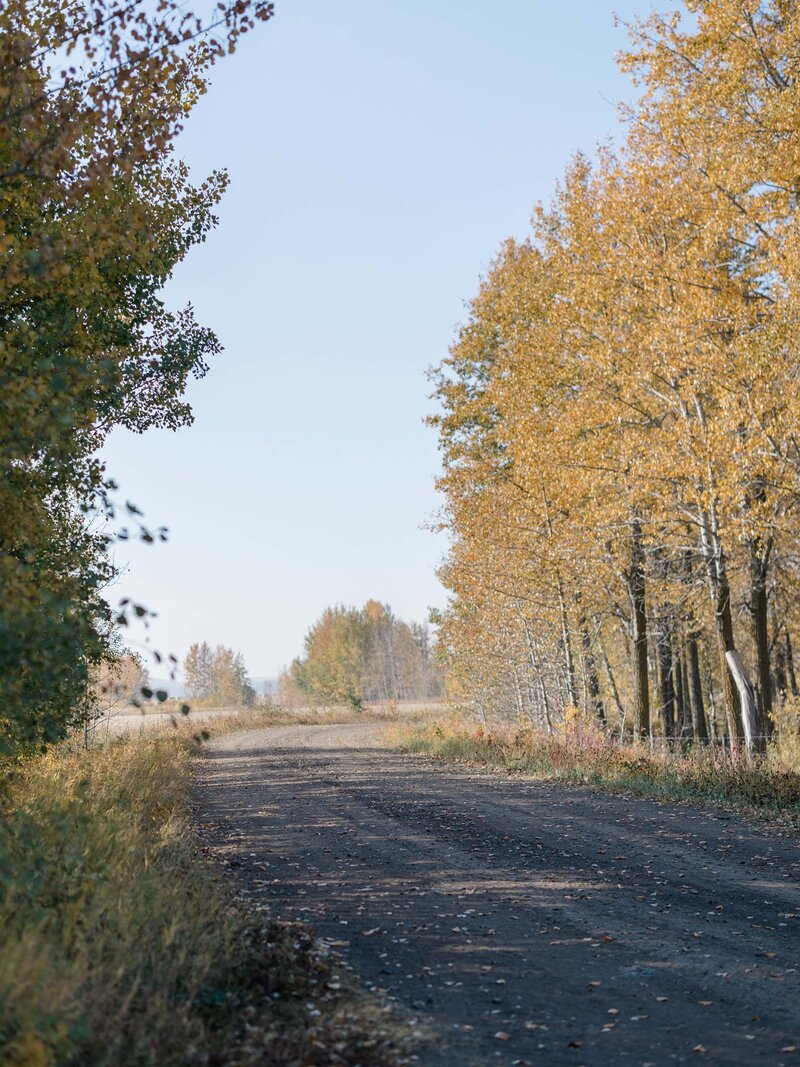 Edmonton Wedding Photos - Pine and Pond Wedding Venue (9)