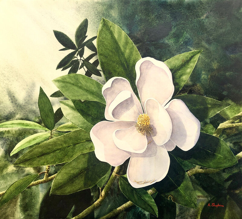 Southern Charm by Alan Shuptrine, talented Chattanooga Watercolor Artist