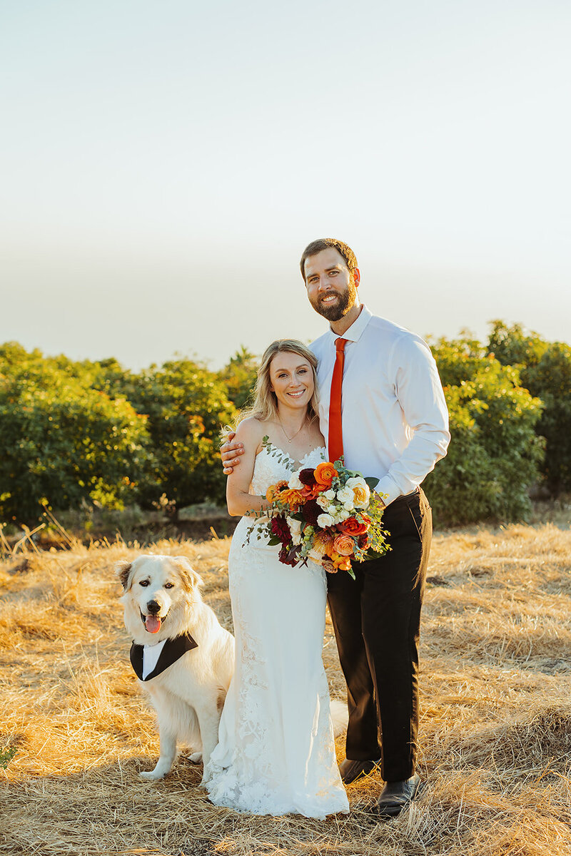 Wedding at Avocado farm in Carpinteria California by White Desert Photography