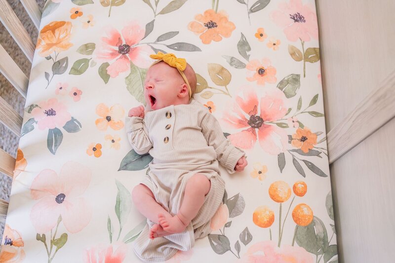 newborn photography eau claire