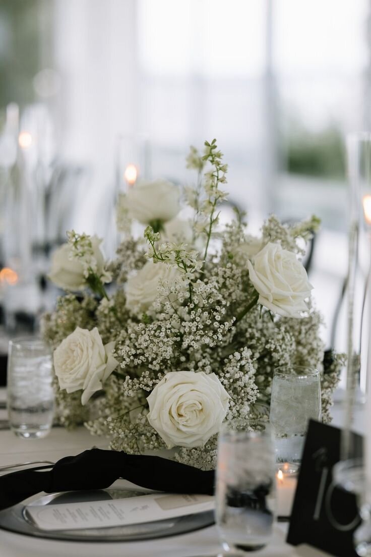 babys breath-rori ranch rentals