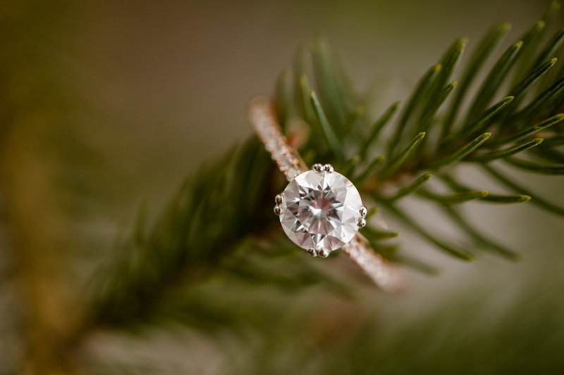 Brook and Josh - Engaged (19 of 76)