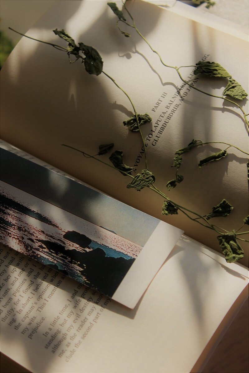 Bookmark and vines resting on top of a book