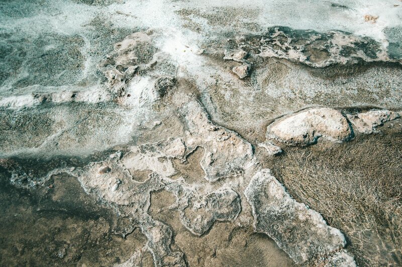 pexels-roman-odintsov-6979826