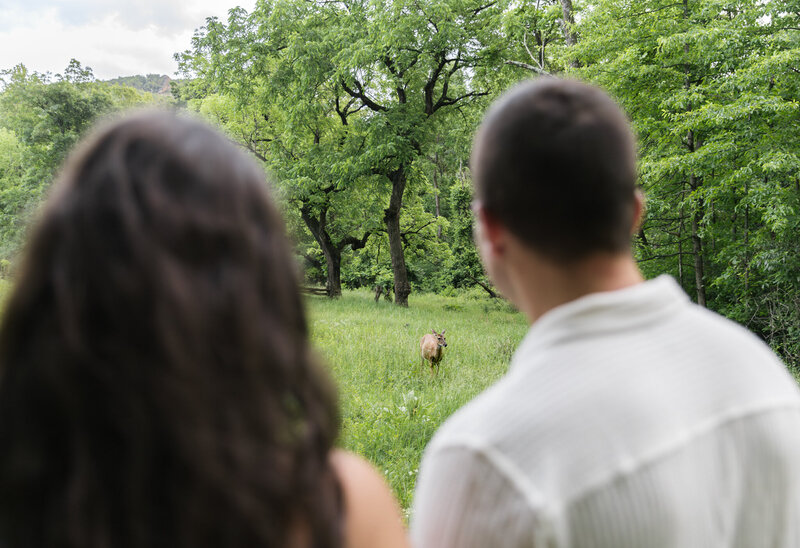 shenandoah-engagement-june2025-17