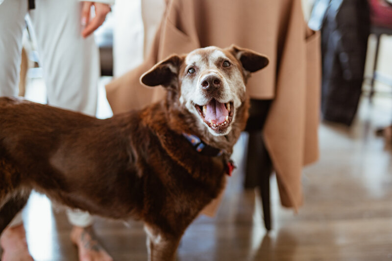 Kerri-Bryan-Westin-Hotel-Vail-Colorado-03189
