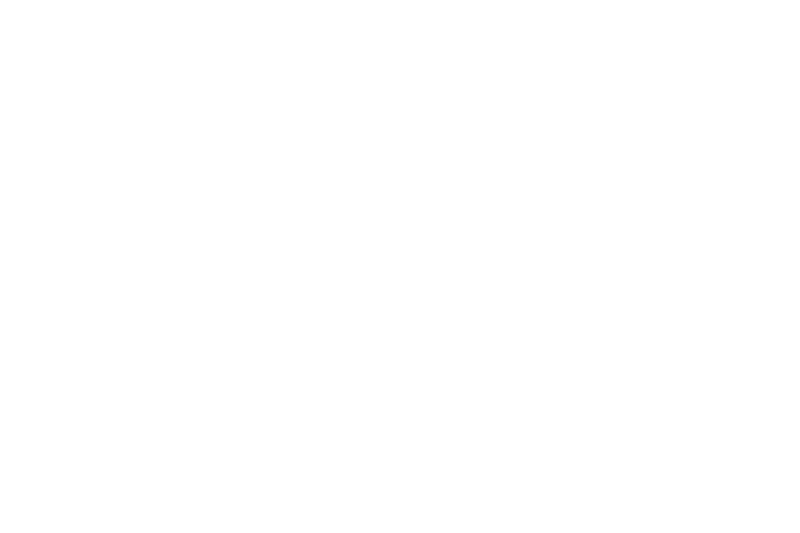 Paul Gregory Photography White Logo