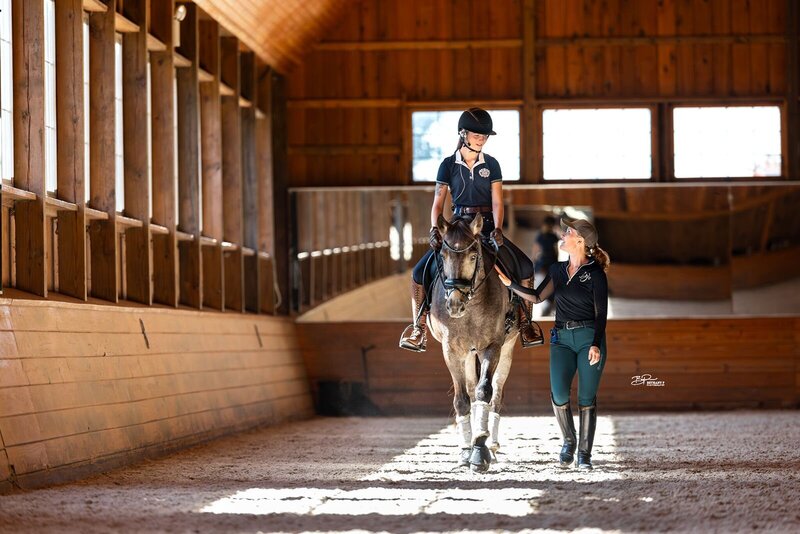 Horse farm in Pennsylvania