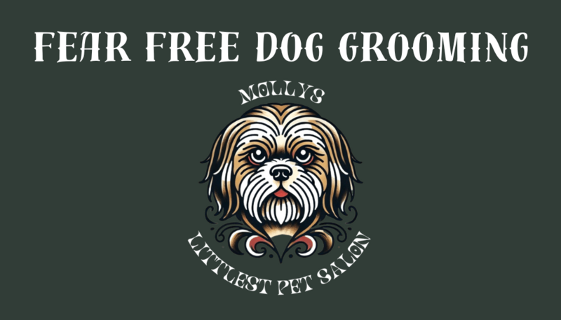 Molly, a Fear Free Certified groomer in Waxahachie, Texas, proudly displaying her certification at Molly's Littlest Pet Salon