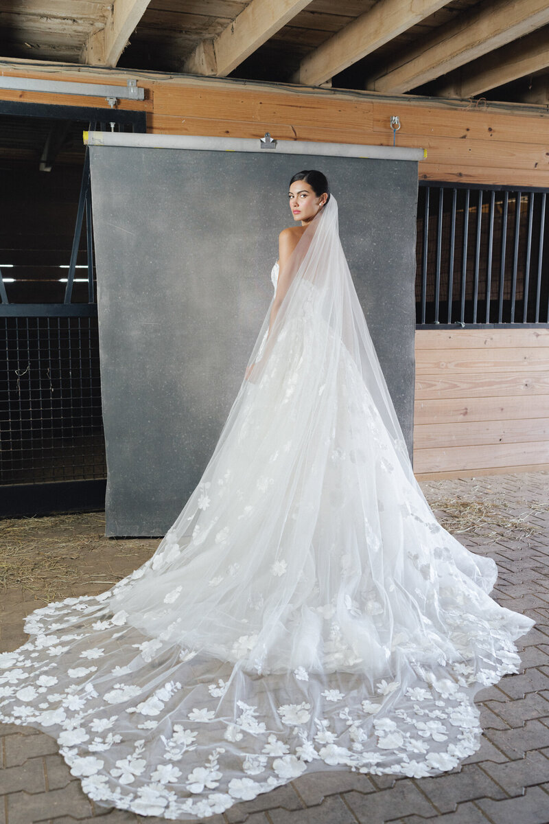 Berkshire-veil-anne-barge-fall-2023-wedding-dress