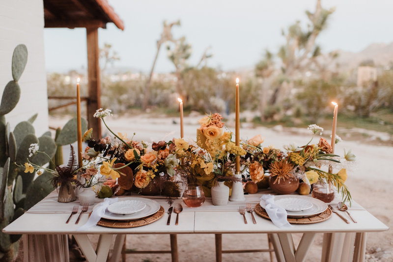 joshuatreeeditorial-367