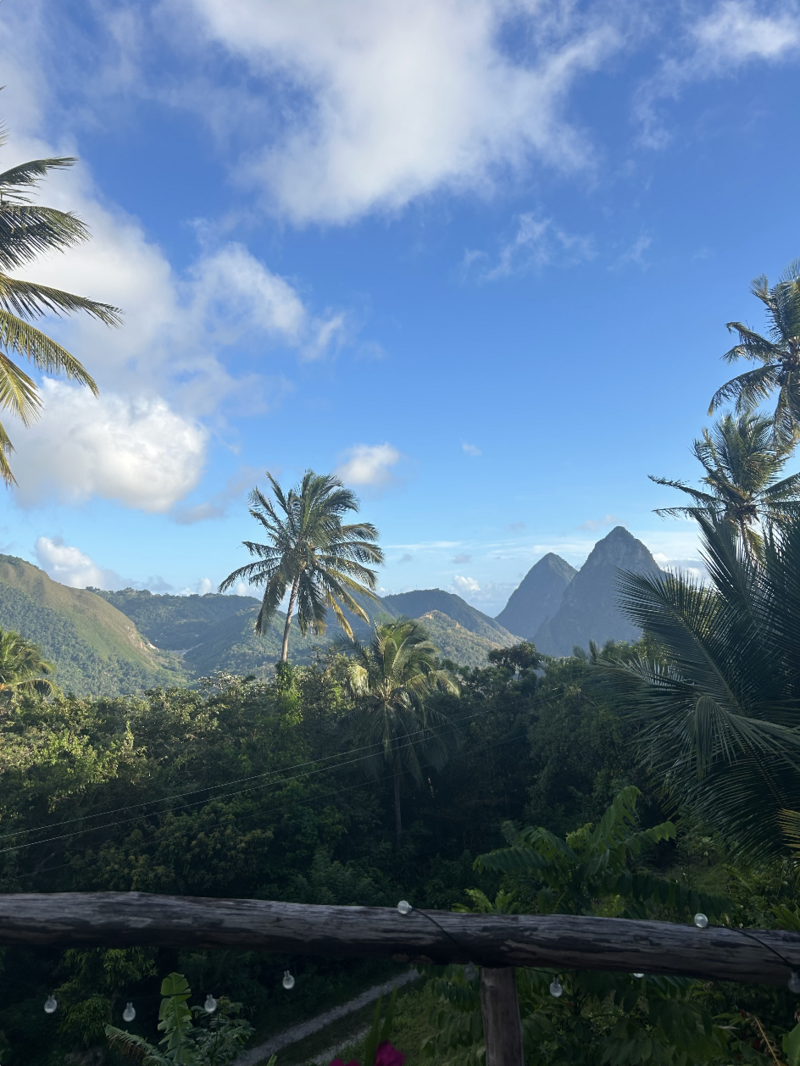 Screenshot 2025-11-07 at 7.13.50 PM