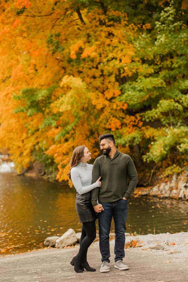 Nicole & Hozhabr Engagement -15