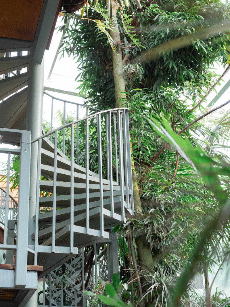 Greenhouse Editorial - Tay Danay - #-32