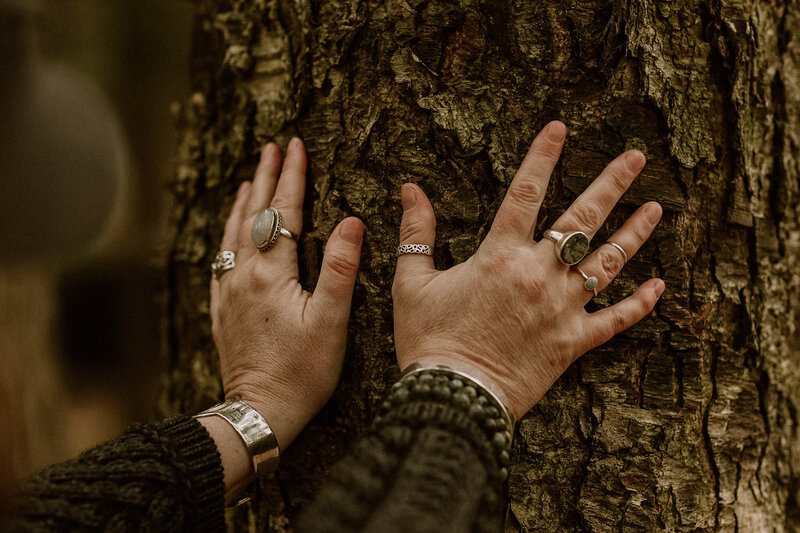 hands on tree 