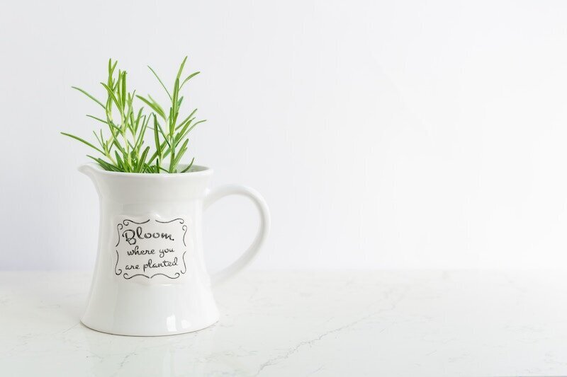 Bloom where you are planted - Heather Stewart Coaching - The Thriving Life Method