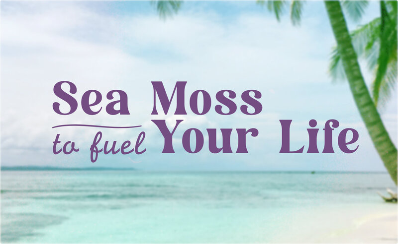 Just Livity brand tagline, Sea Moss to Fuel Your Life, sits on top of a scenic tropical background.