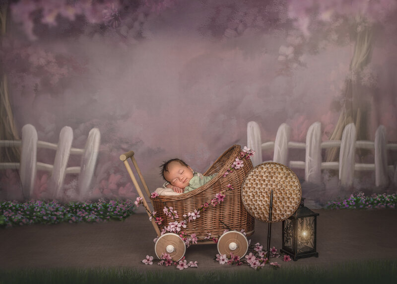 "Newborn baby peacefully sleeping in a vintage stroller under blooming cherry blossom trees, captured in a fine art photography session in Ottawa."