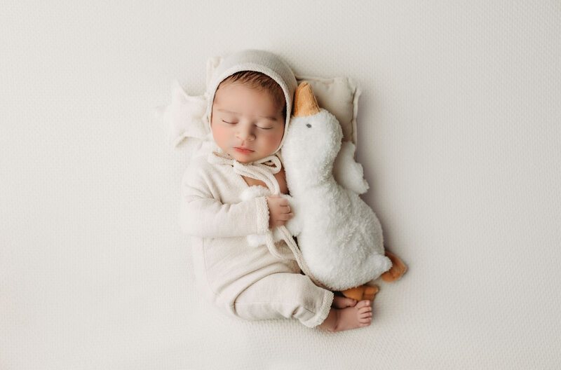Newborn baby posed in a styled prop with coordinated fabrics and gentle tones, photographed in a luxury newborn studio.