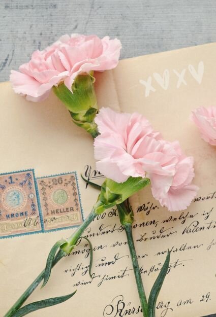 love-letter-with-carnation-rebel-heart-425w