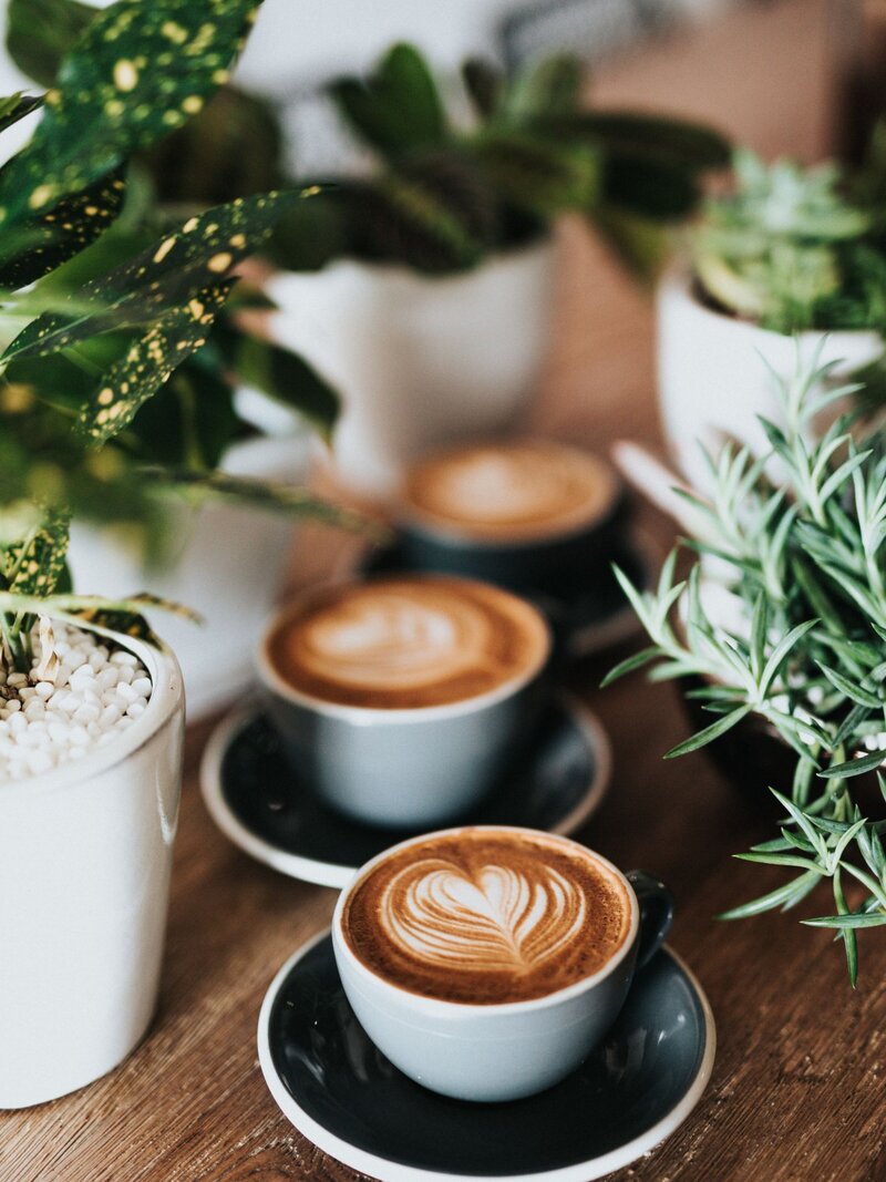 coffee-next-to-plants