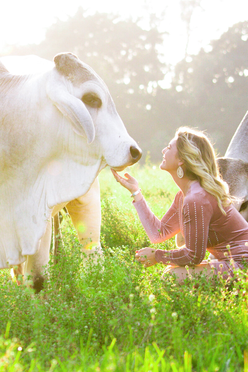 gainesville pet photography of a girl kneeling in grass to look up at her cow