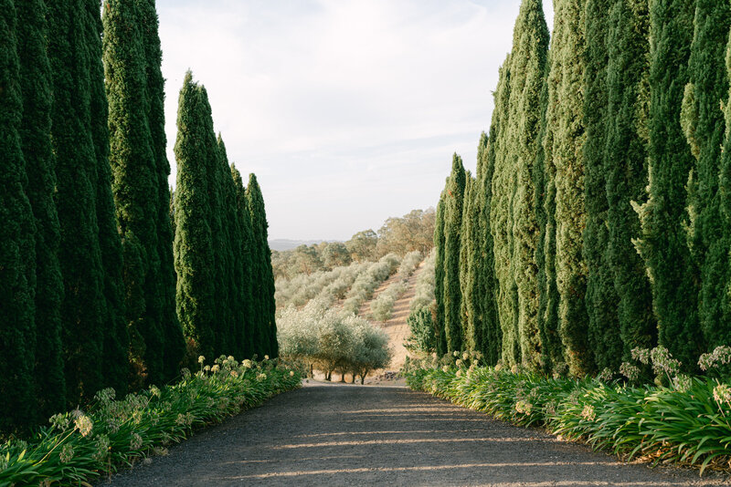 E+H Pietro Gallus Estate 6.3.25-148