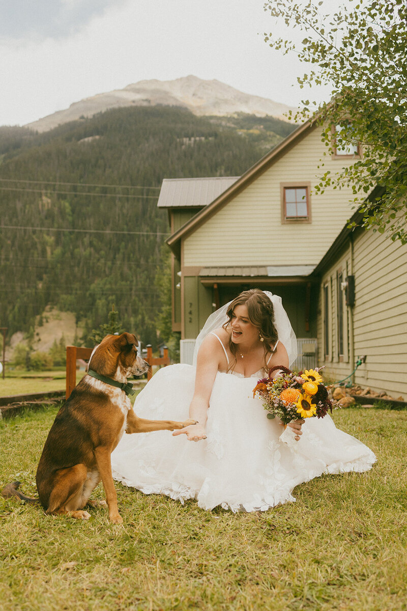Bride holding flowers in front of old house holding dogs paw