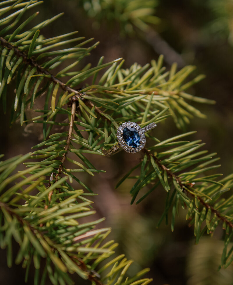 6A947150-C284-4006-BFC3-8E17107BA32A