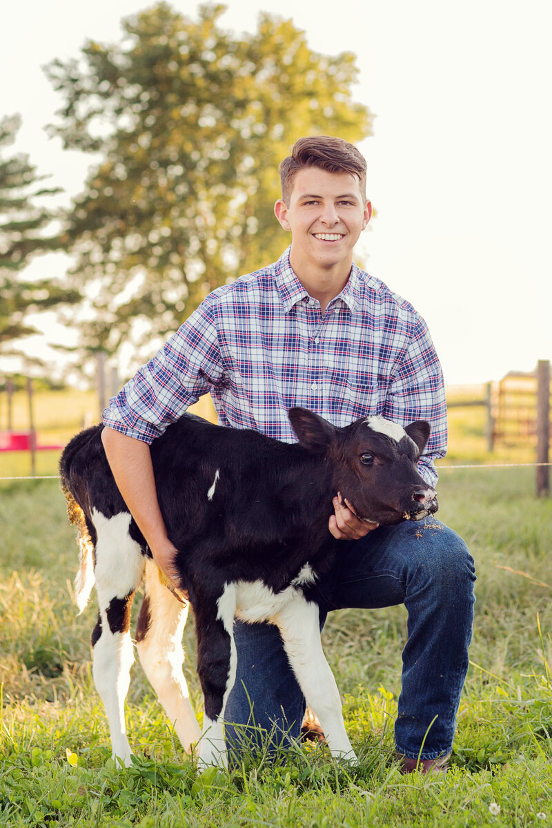 Zionsville senior boy with a young cow on a farm in the country.
