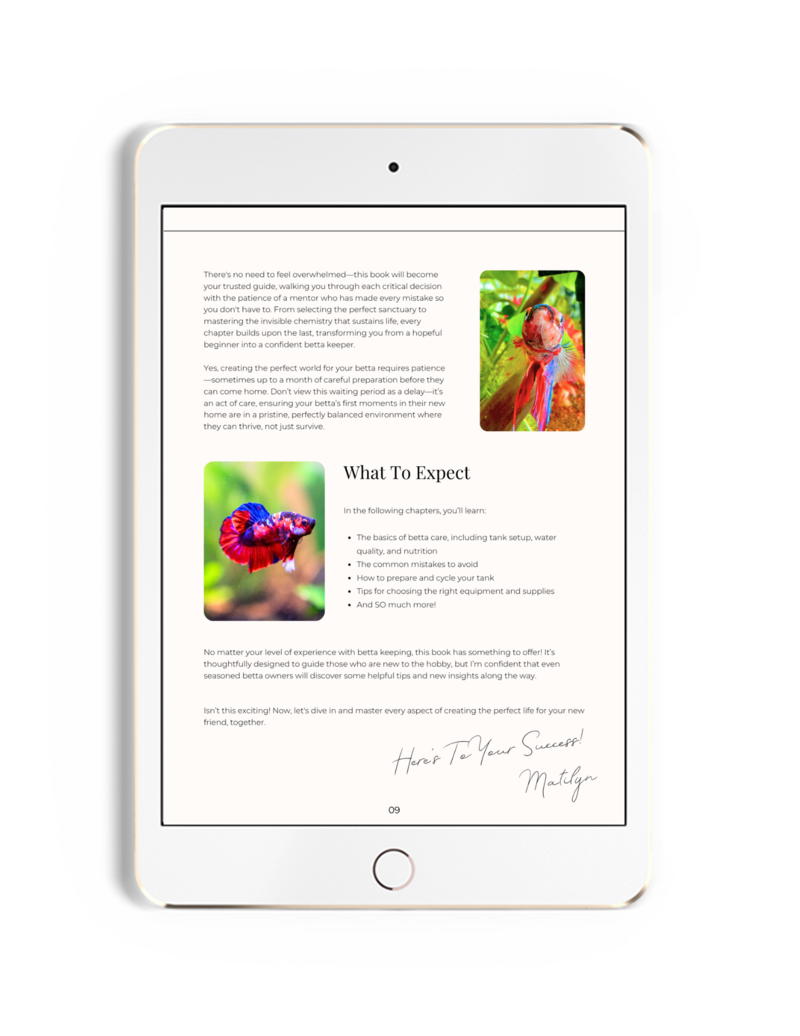 example page from the betta fish ebook