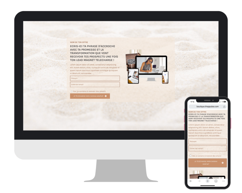 page-capture-systeme-io-responsive