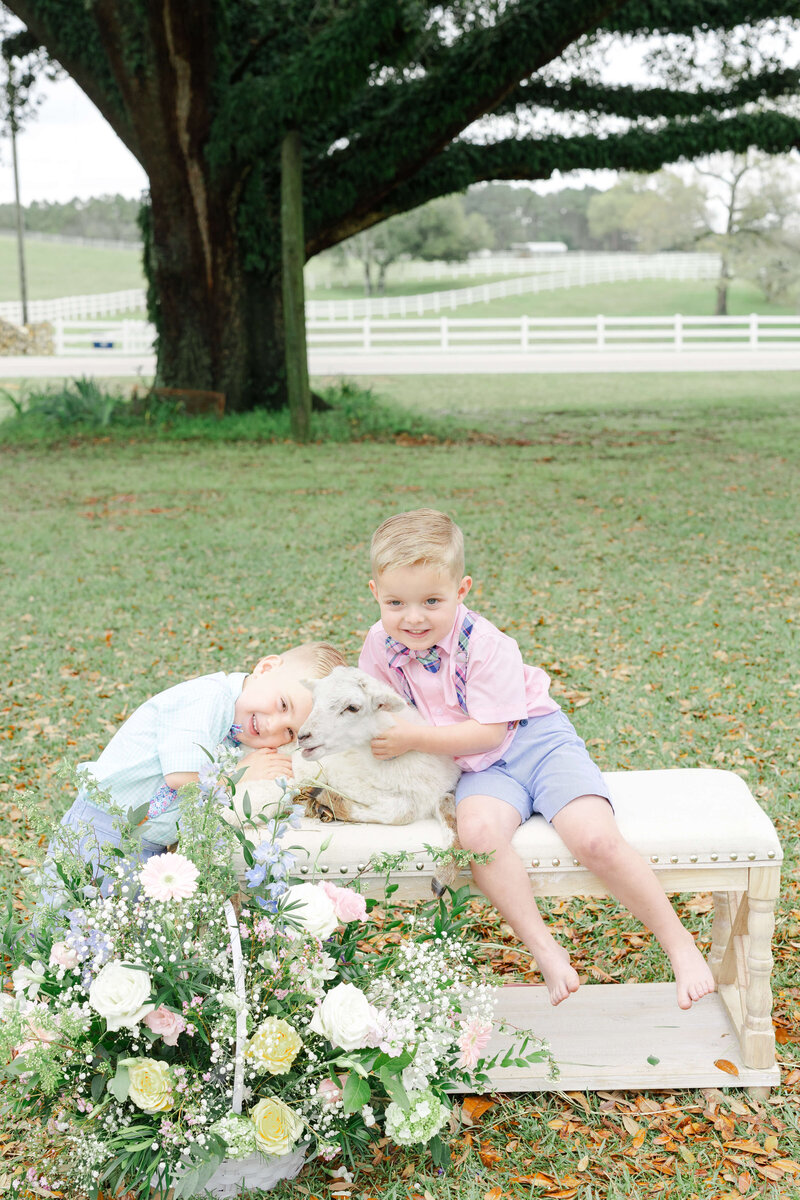 Two boys holding a baby lamb on a bench surrounded by flowers for mini session in dothan alabama