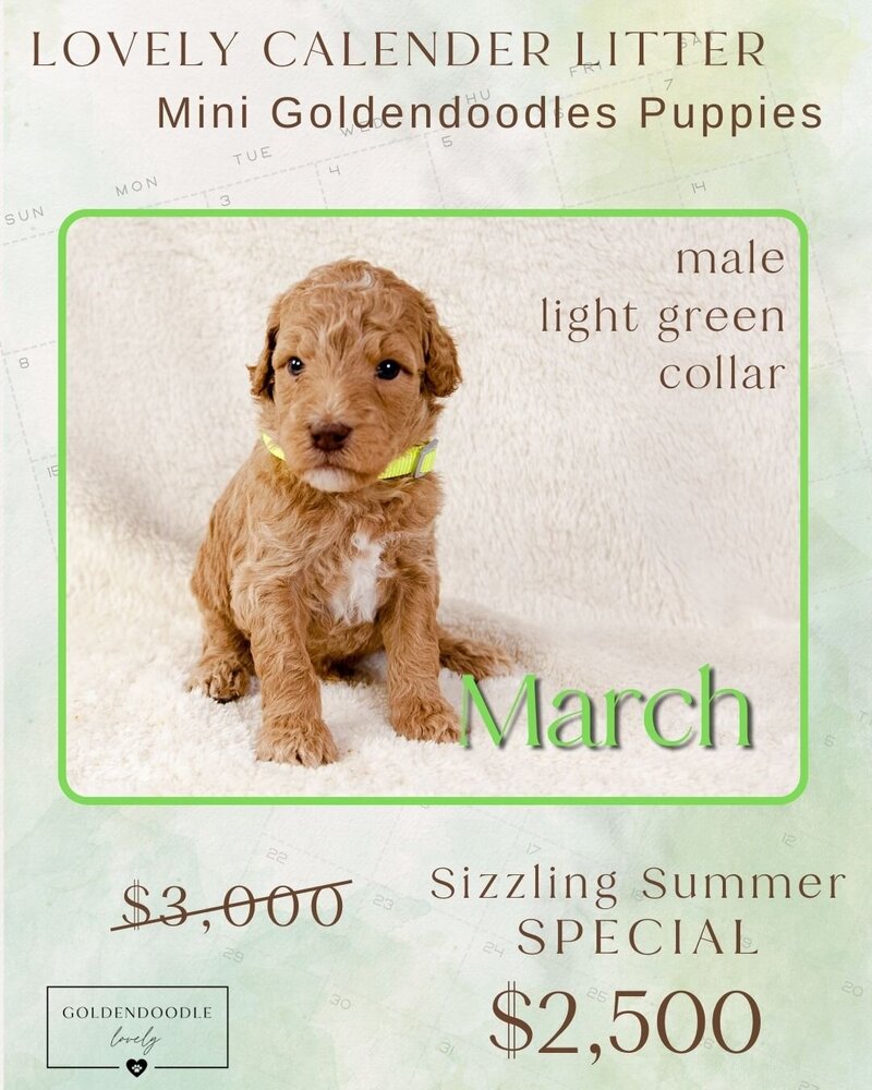 Calendar Dk Green March Male