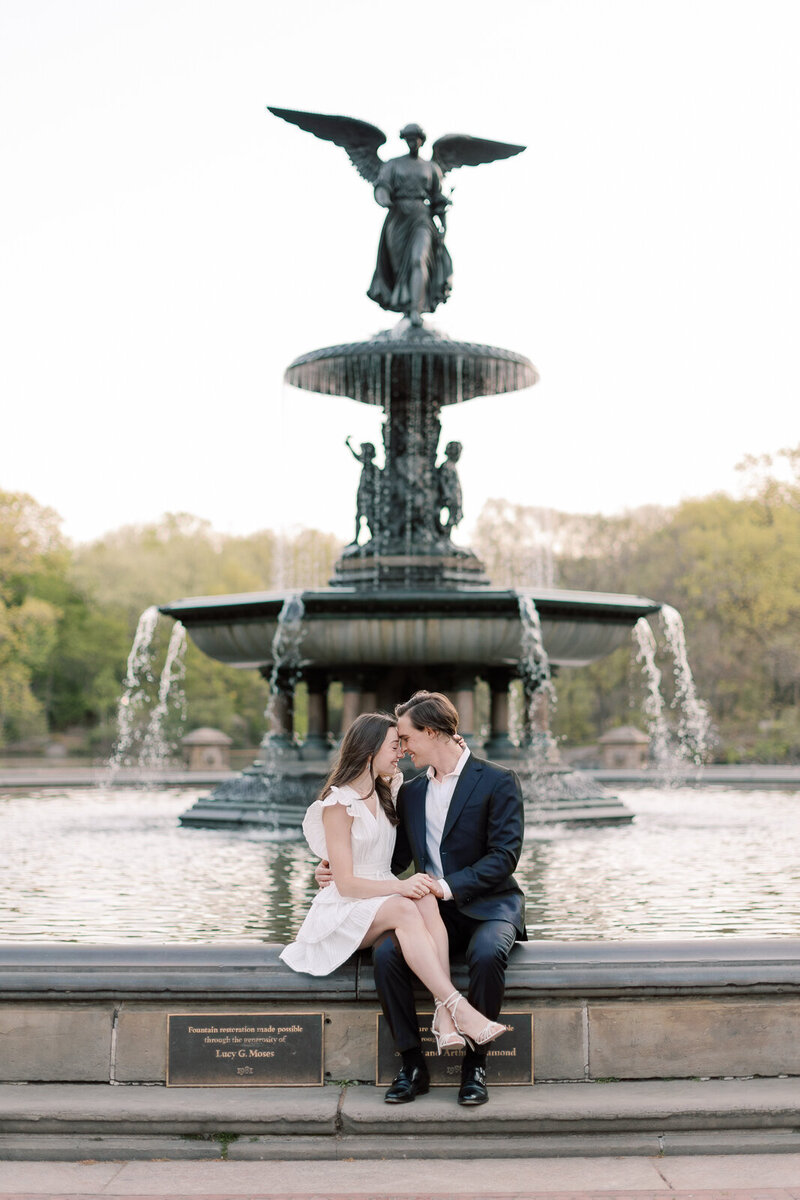 Central Park couple gets engaged by the fountain