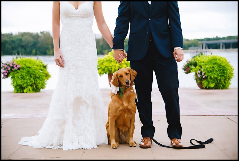 Bride and groom with their dog