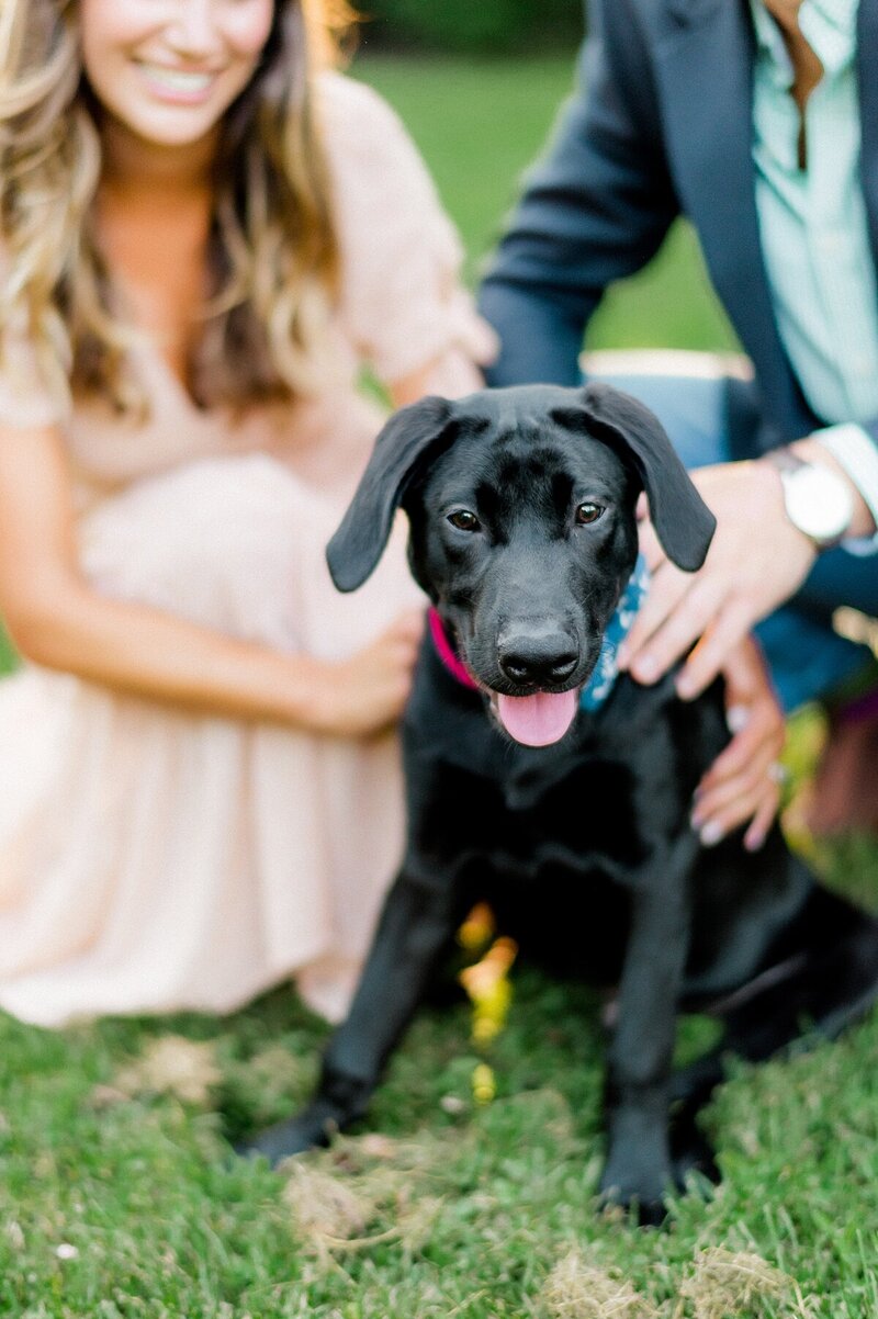 Philadelphia-Garden-Summer-Engagement-session-7 photo