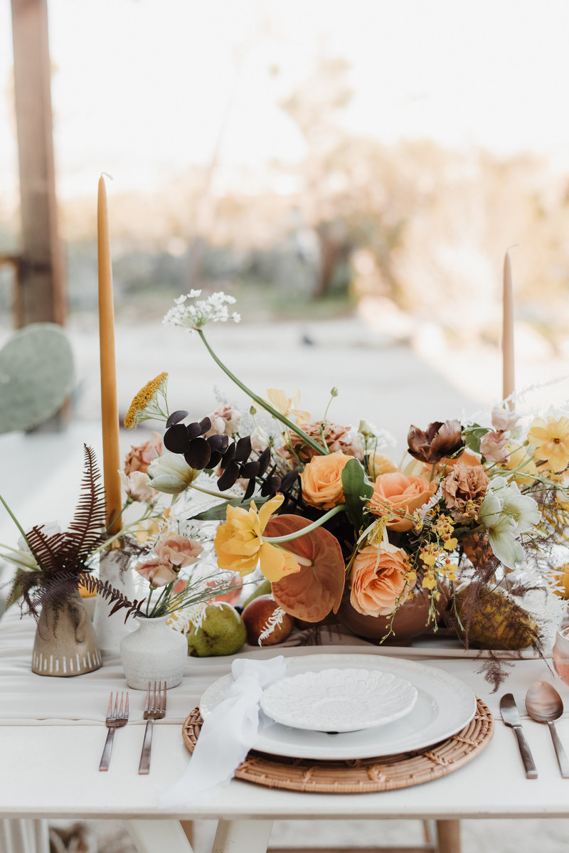 joshuatreeeditorial-161