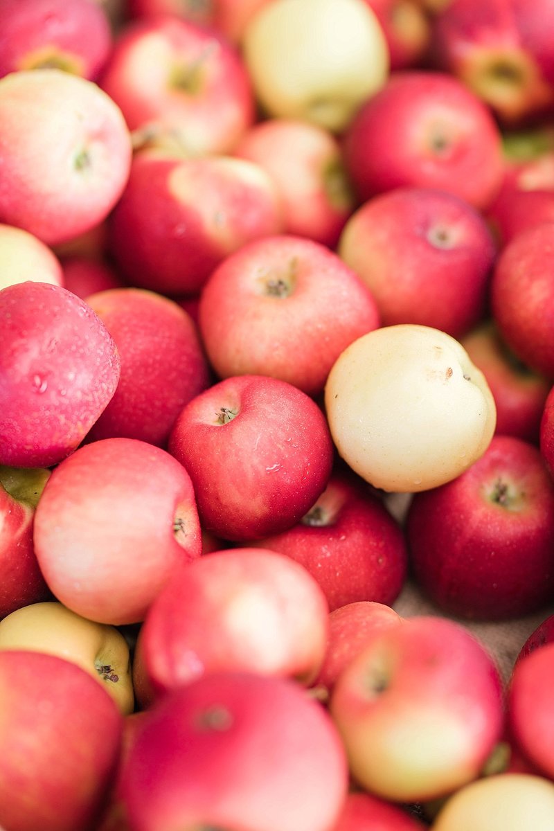 _Marissa___Nathan_(35_of_52)